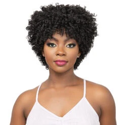 Janet Collection Natural Curly Synthetic Hair Wig - AFRO FIBY